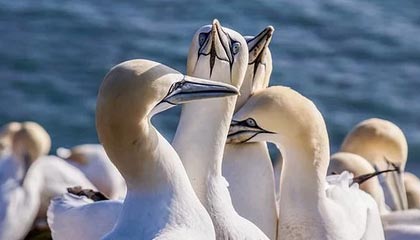 绍兴最新的高价找中介取公积金违法吗方法分享(绍兴中介取公积金怎么收费教程)