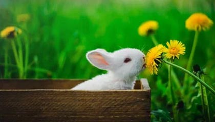 绍兴最新的高价医保卡惠民保险代扣怎么取消掉了方法分享(绍兴惠民医保怎么报销教程)